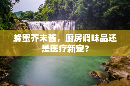 蜂蜜芥末酱，厨房调味品还是医疗新宠？