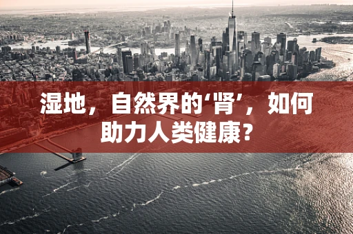 湿地，自然界的‘肾’，如何助力人类健康？
