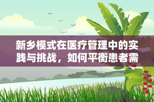 新乡模式在医疗管理中的实践与挑战，如何平衡患者需求与资源优化？