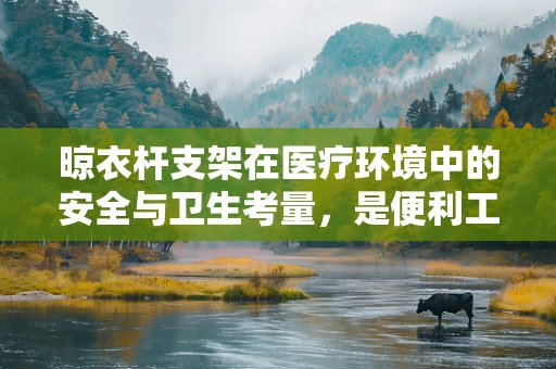 晾衣杆支架在医疗环境中的安全与卫生考量，是便利工具还是潜在风险？