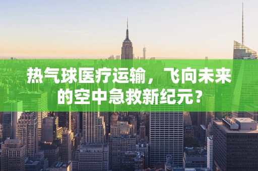 热气球医疗运输，飞向未来的空中急救新纪元？