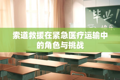 索道救援在紧急医疗运输中的角色与挑战