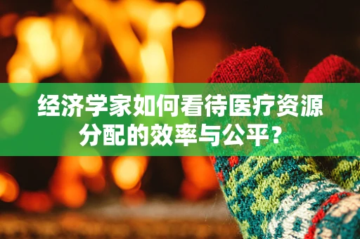 经济学家如何看待医疗资源分配的效率与公平？