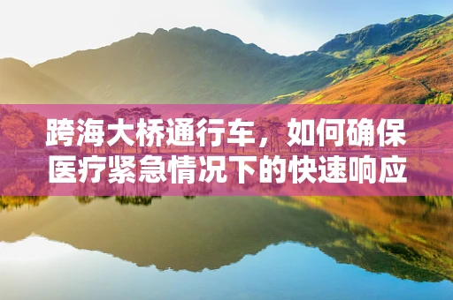 跨海大桥通行车，如何确保医疗紧急情况下的快速响应？