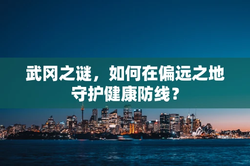 武冈之谜，如何在偏远之地守护健康防线？