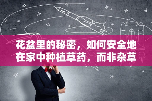 花盆里的秘密，如何安全地在家中种植草药，而非杂草？