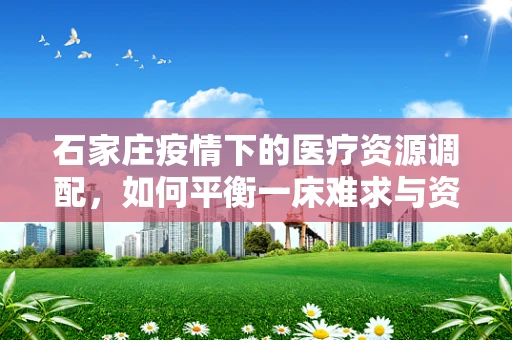 石家庄疫情下的医疗资源调配，如何平衡一床难求与资源闲置？