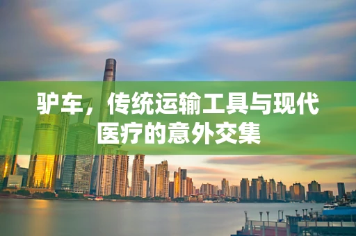 驴车，传统运输工具与现代医疗的意外交集