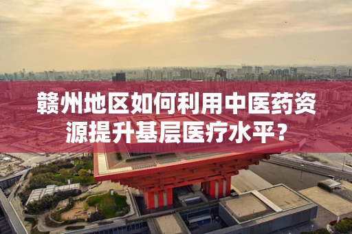 赣州地区如何利用中医药资源提升基层医疗水平？