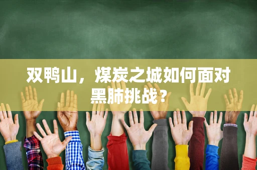 双鸭山，煤炭之城如何面对黑肺挑战？