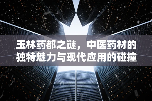 玉林药都之谜，中医药材的独特魅力与现代应用的碰撞