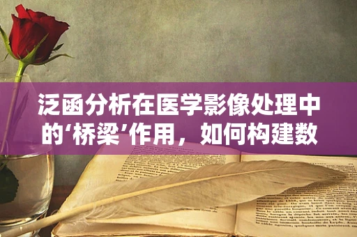 泛函分析在医学影像处理中的‘桥梁’作用，如何构建数据与诊断的完美链接？