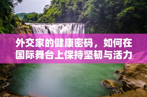 外交家的健康密码，如何在国际舞台上保持坚韧与活力？