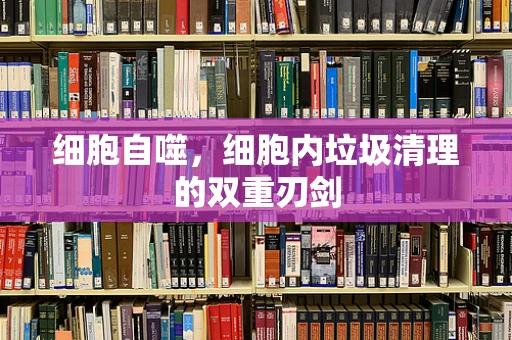 细胞自噬，细胞内垃圾清理的双重刃剑