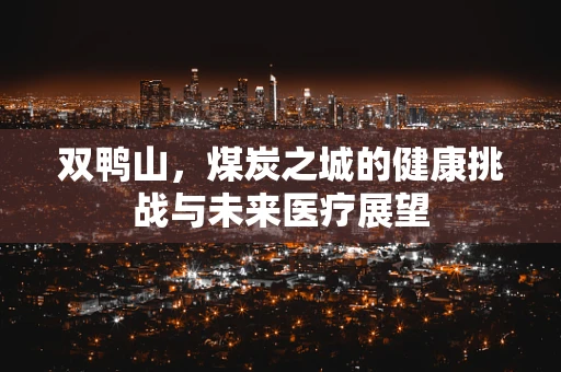 双鸭山，煤炭之城的健康挑战与未来医疗展望