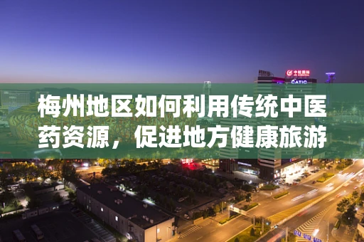 梅州地区如何利用传统中医药资源，促进地方健康旅游发展？
