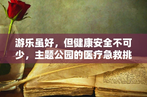 游乐虽好，但健康安全不可少，主题公园的医疗急救挑战