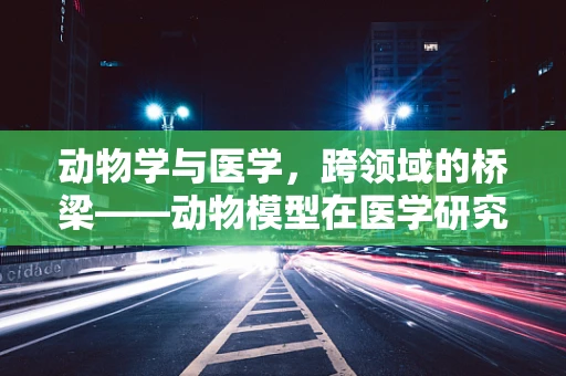 动物学与医学，跨领域的桥梁——动物模型在医学研究中的角色