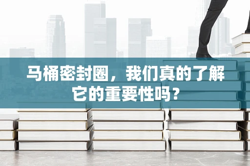 马桶密封圈，我们真的了解它的重要性吗？