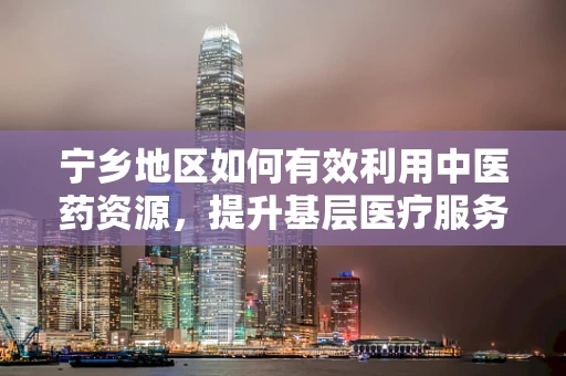 宁乡地区如何有效利用中医药资源，提升基层医疗服务质量？