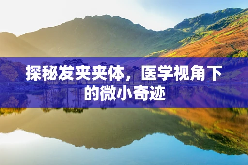 探秘发夹夹体，医学视角下的微小奇迹