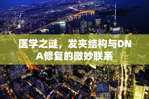 医学之谜，发夹结构与DNA修复的微妙联系