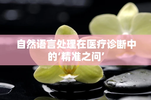 自然语言处理在医疗诊断中的‘精准之问’
