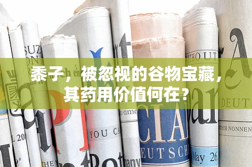 黍子，被忽视的谷物宝藏，其药用价值何在？