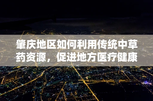 肇庆地区如何利用传统中草药资源，促进地方医疗健康产业发展？