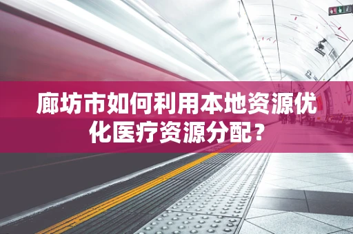 廊坊市如何利用本地资源优化医疗资源分配？