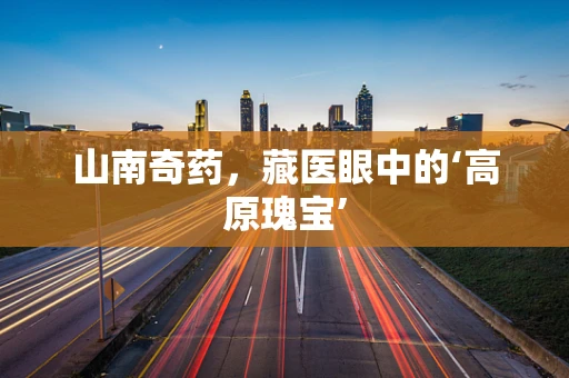 山南奇药，藏医眼中的‘高原瑰宝’