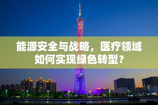 能源安全与战略，医疗领域如何实现绿色转型？