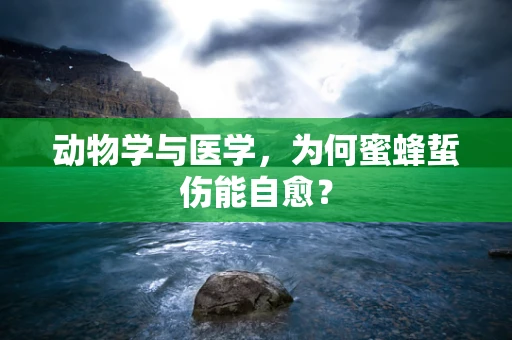 动物学与医学，为何蜜蜂蜇伤能自愈？